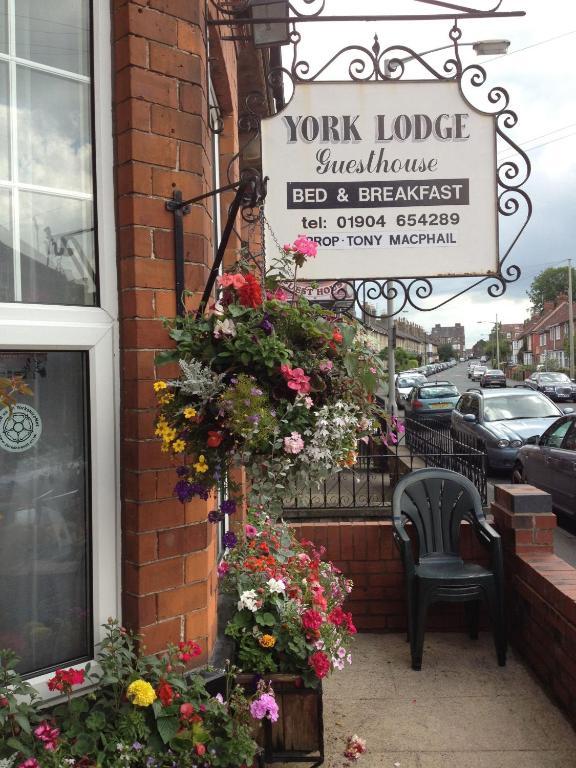 York Lodge Guesthouse Pokoj fotografie